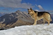 In GRIGNETTA (2177 m) ad anello Cresta Cermenati – Sentiero delle Capre dal Pian dei Resinelli il 27 marzo 2019 - FOTOGALLERY